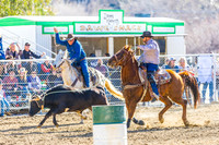 WF SUN OPEN TEAM ROPING
