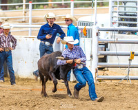 CJCA SAT CHUTE DOGGIN/STEER WRESTLING