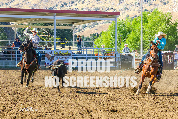 IMG_6253