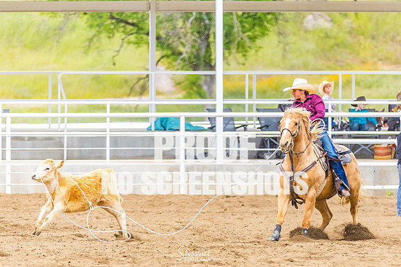 G91A9118
