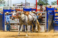 CJCA SAT ROUGH STOCK
