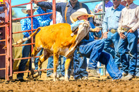 IMG_2812-Edit