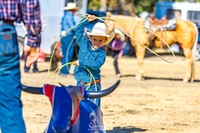 wcjra parkfield dummy roping