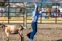 wcjra park field goat untying, stick horse