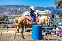 wcjra parkfield single stake, barrels, keyhole