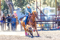 wcjra calf roping, calf touching