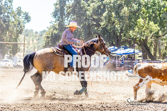7Q1A7399