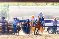 wcjra team roping
