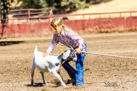 7Q1A7515