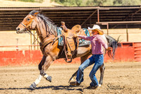 wcjra goat tying