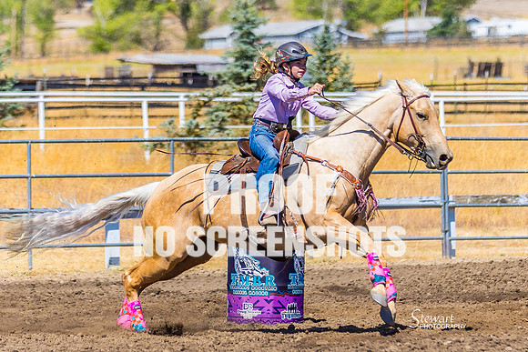 7Q1A8141