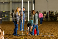 Ring in the New Year POLES