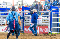 CJCA SUN BULLS AND CALF RIDING