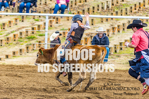 7Q1A8573