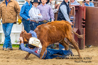 CJCA SUN CHUTE DOGGIN AND STEER WRESTLING