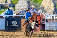 CJCA SUN TEAM ROPING 11-14