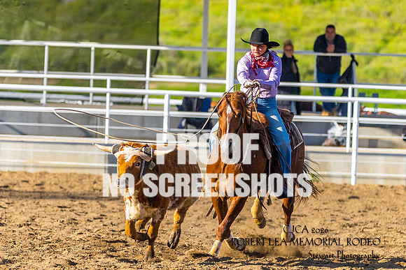 7Q1A9619