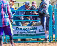 CJCA MUTTON BUSTING