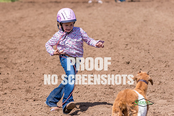 7C4A8121