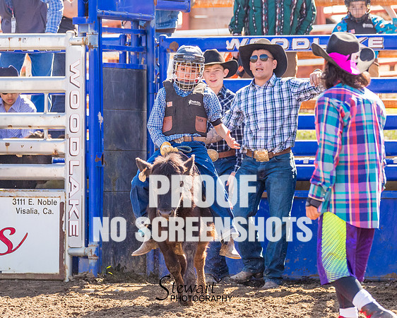 AA5I4535