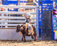 CALF RIDING