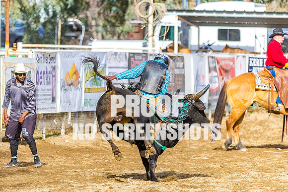 G91A1235