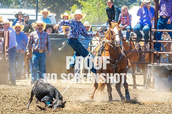 IMG_2990-Edit