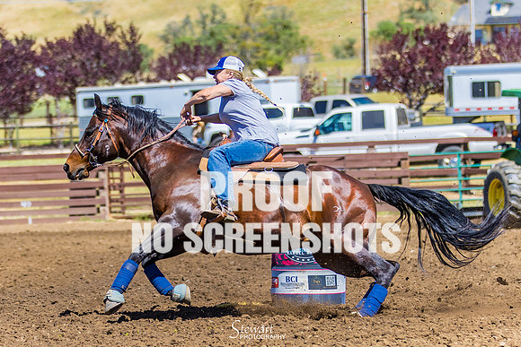 7Q1A2501