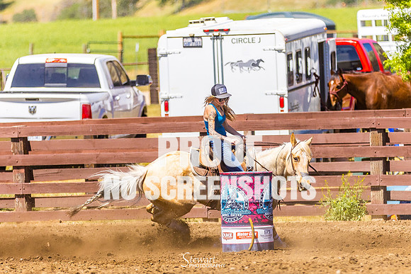 7Q1A3584