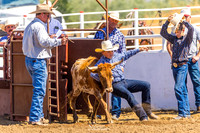 cjca sun mar 29 chute dogging-steer wrestling