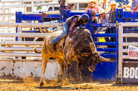 cjca sun mar 29 Rough Stock