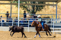 cjca sun mar 29 Steer Stopping