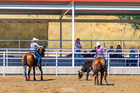 cjca sun mar 29 Team Roping