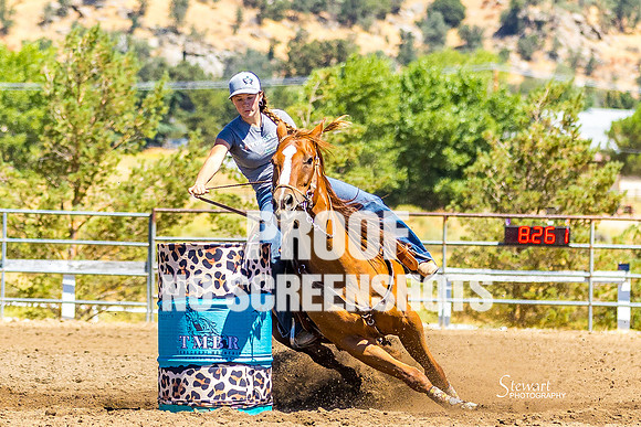 G91A2792