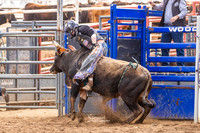 CJCA Bull Riding, Saddle Bronc