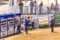 CJCA  MAY 23 ROUGH STOCK