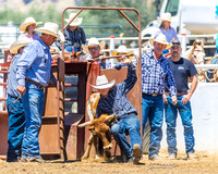 CJCA MAY 23 CHUTE DOGGING/STEER WRESTLING