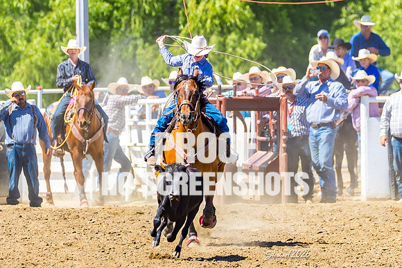 7Q1A1159