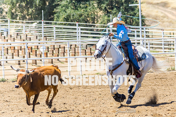 7Q1A2980