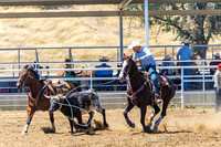 CJCA MAY 24 STEER STOPPING