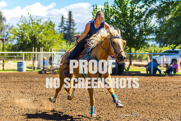 7Q1A6408