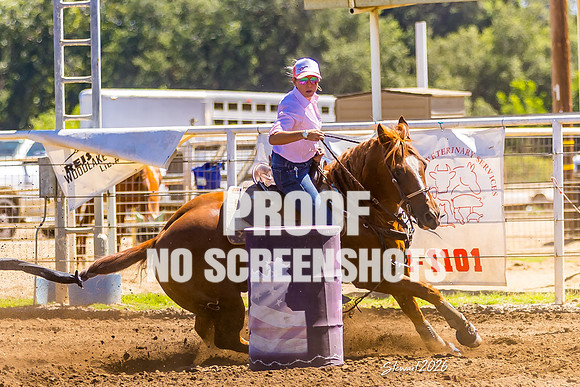 7Q1A6713
