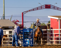 KC Jr Rodeo Steer Stopping