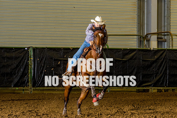 G91A0741