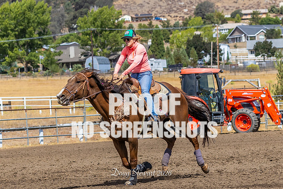 7Q1A5045