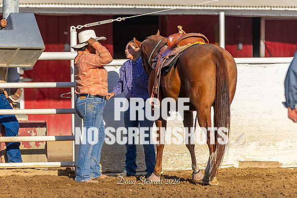 7Q1A7400
