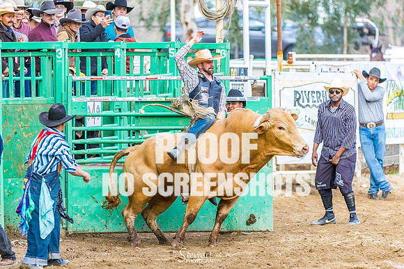G91A1632