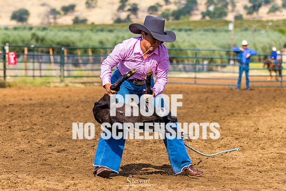 7Q1A7749
