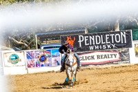 WF SUN HIDE RACE