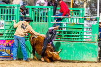 WF SAT JR STEER RIDING SECTIONS 1 & 2